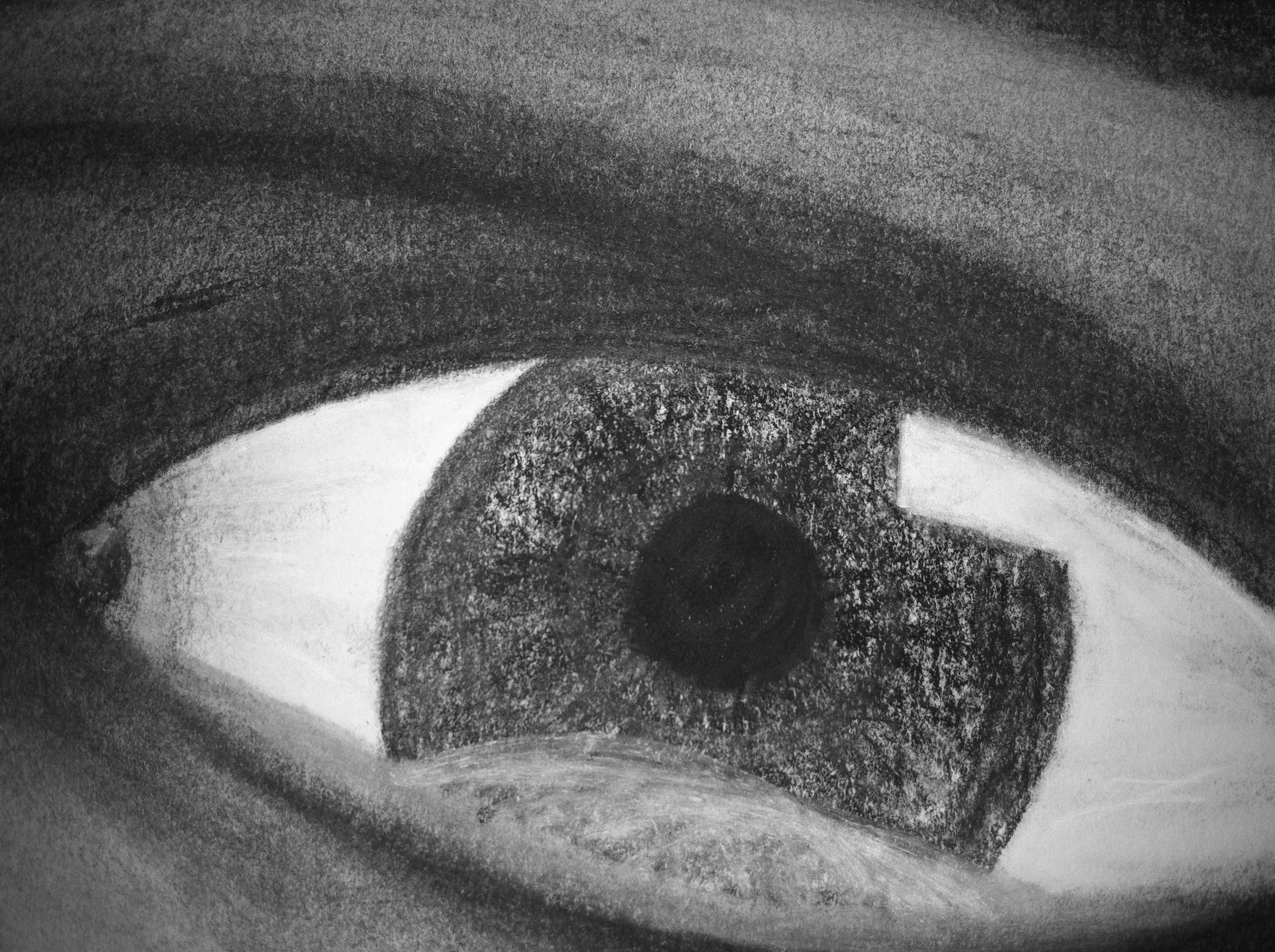 Studies_of_the_Eye Picture 002