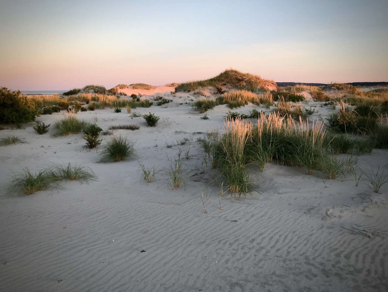 Golden Hour Long Beach Picture Golden_Hour_Long_Beach