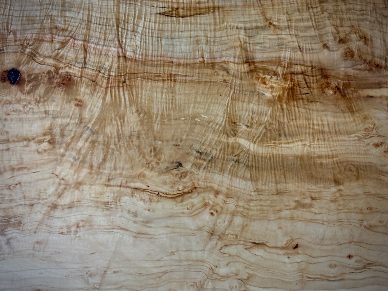Ambrosia_Maple_Table Picture IMG_1414