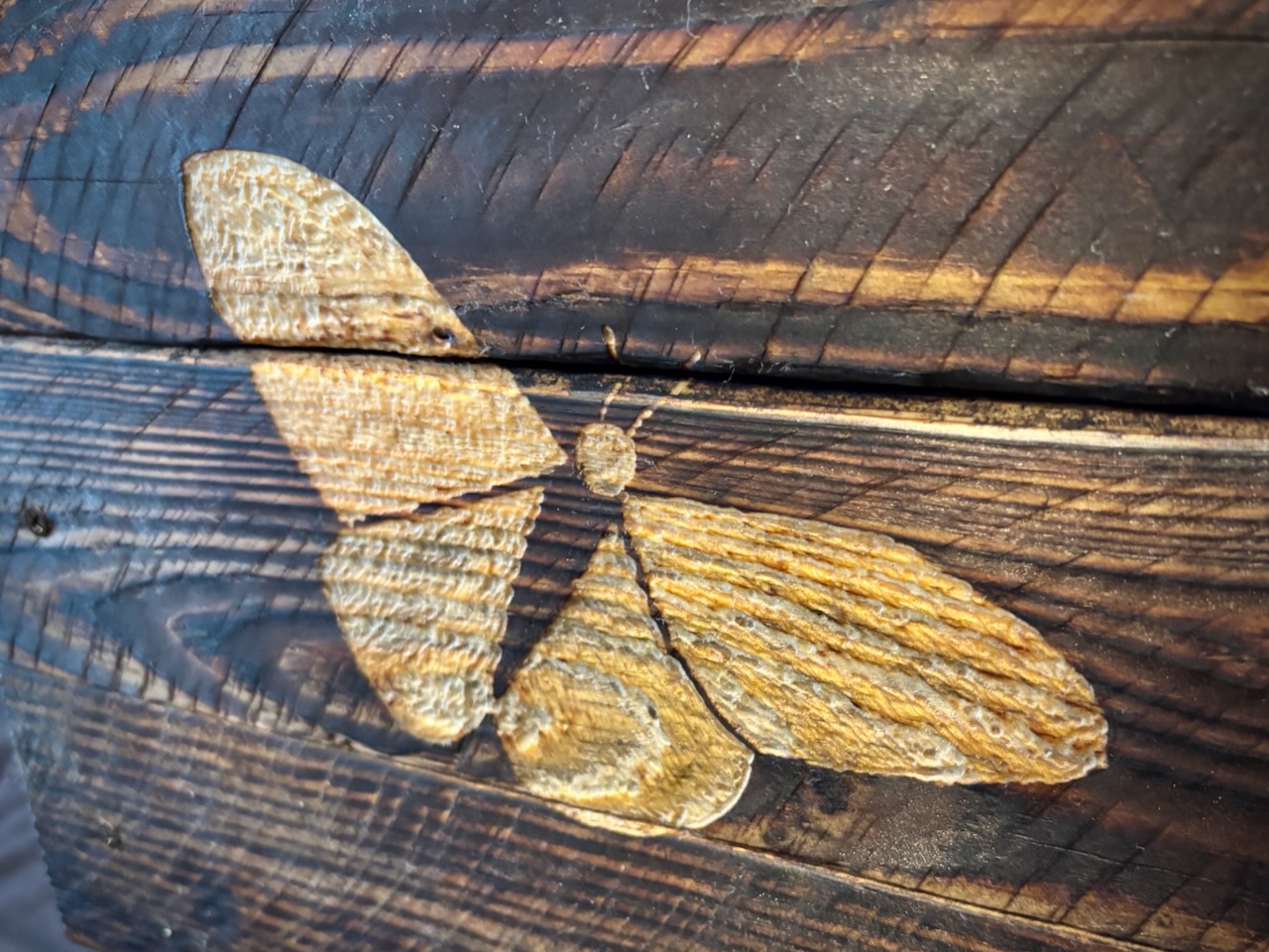 Butterfly_Plant_Holder Picture IMG_2642