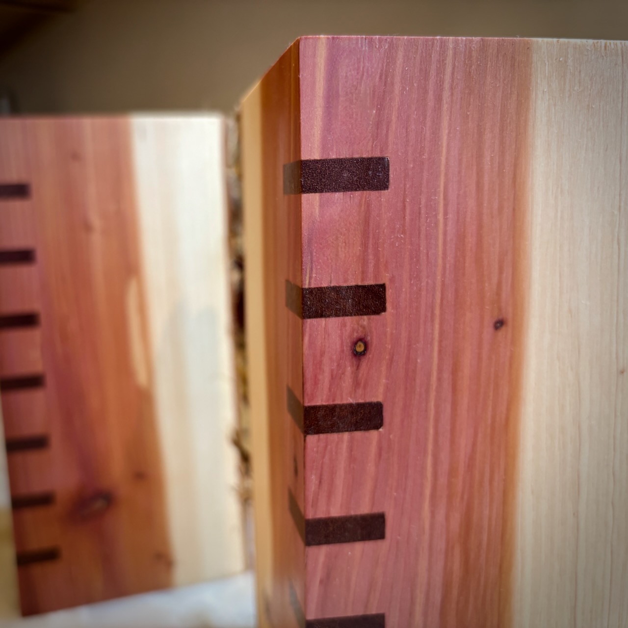 Cedar_Triangles Picture IMG_2316