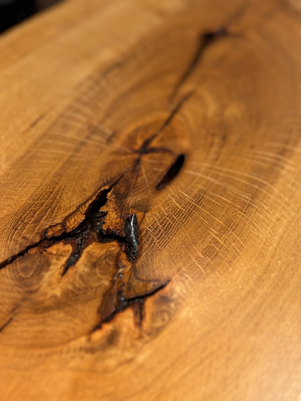 Oak_Charcuterie_Board Picture IMG_0498