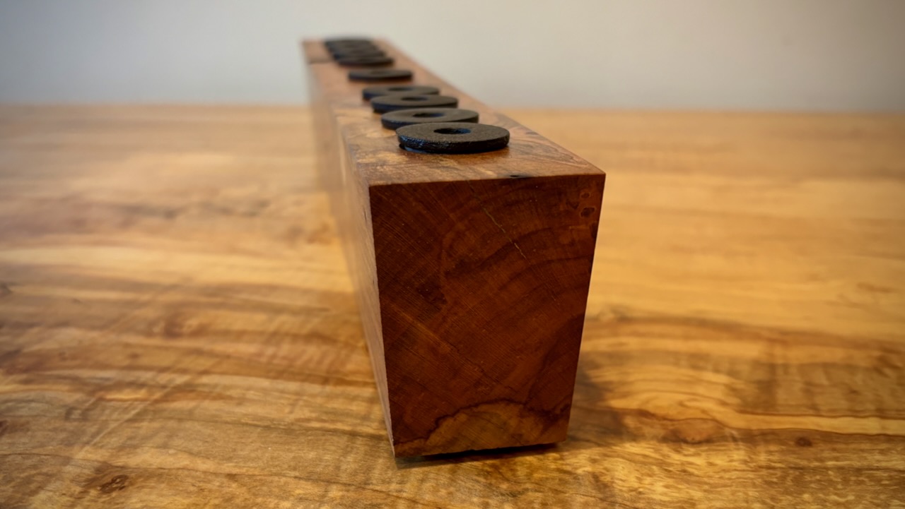 Red_Maple_Menorah Picture IMG_1957